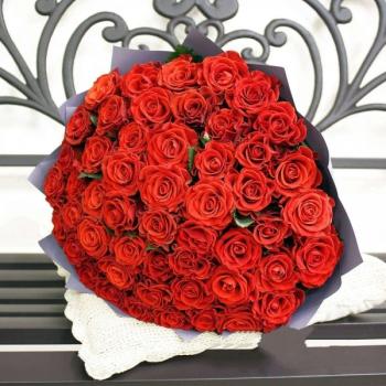 Букет Красная роза Эквадор 51 шт